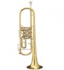 B&S B-Trompete 3005/3TR-L
